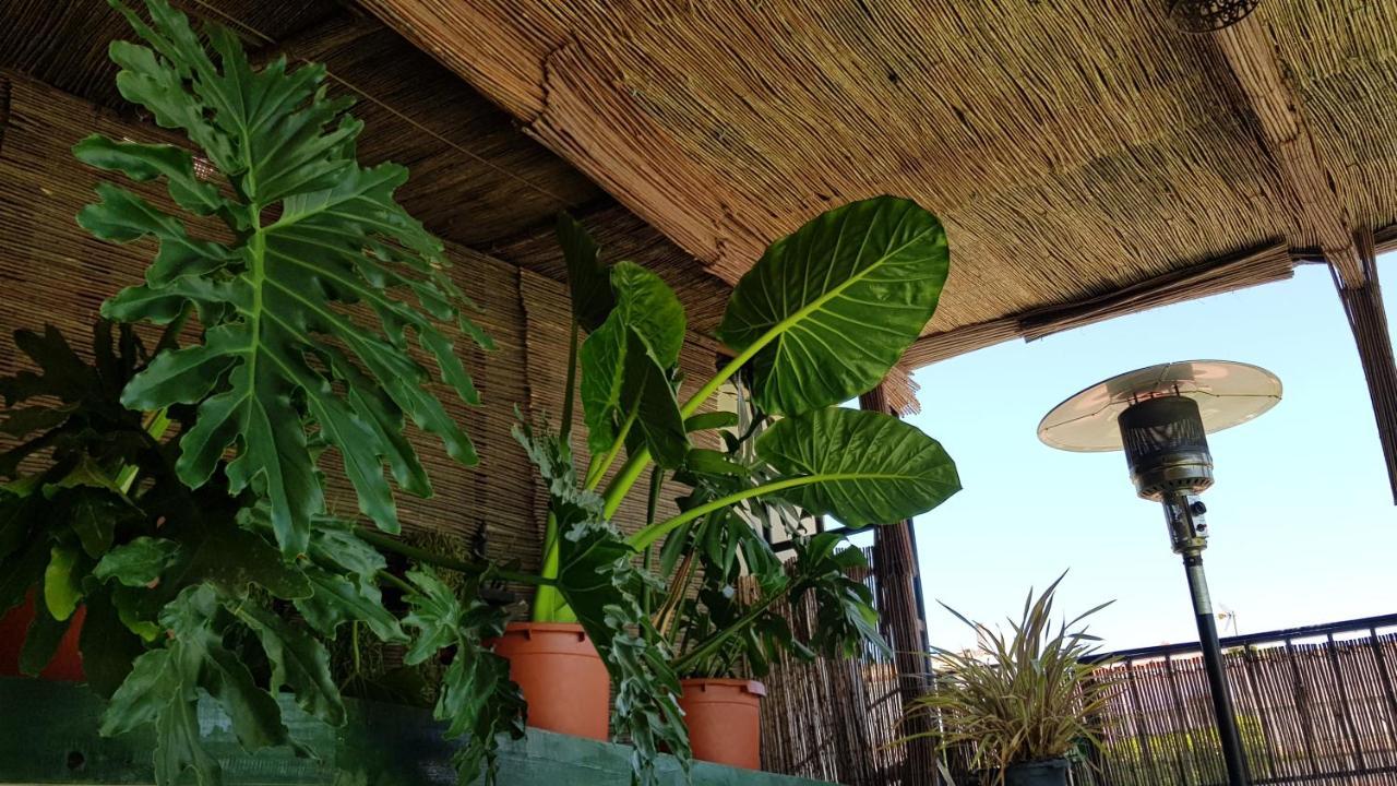אורגיווה Posada Alpujarra Sol מראה חיצוני תמונה