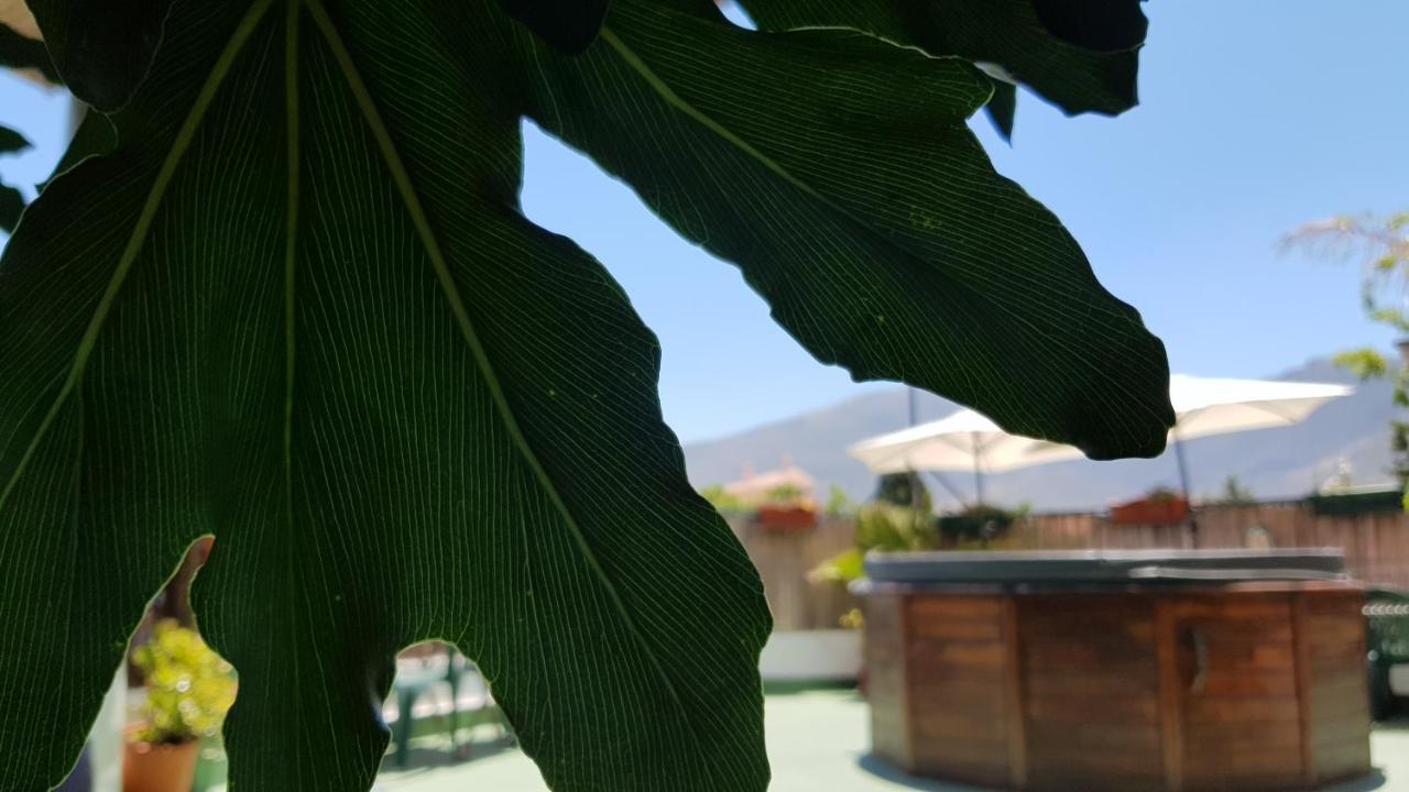 אורגיווה Posada Alpujarra Sol מראה חיצוני תמונה